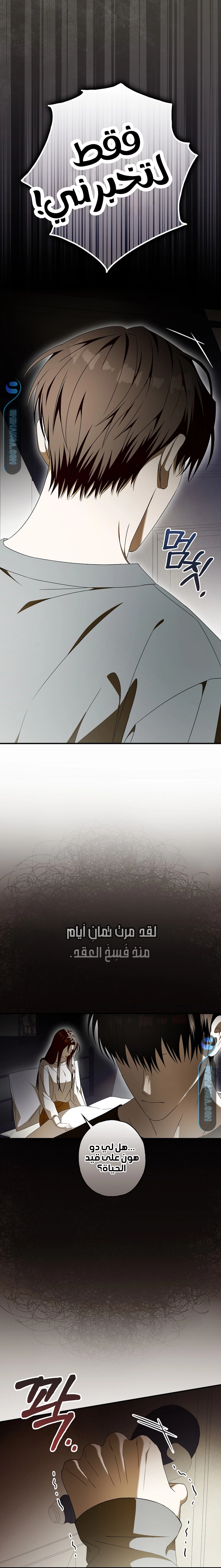 Read Food Chain (AR) Manga Online