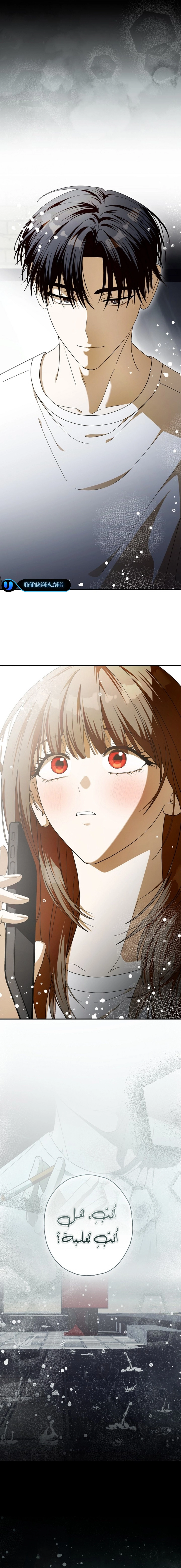 Read Food Chain (AR) Manga Online